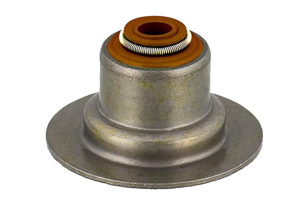 Dichtring, Ventilschaft
