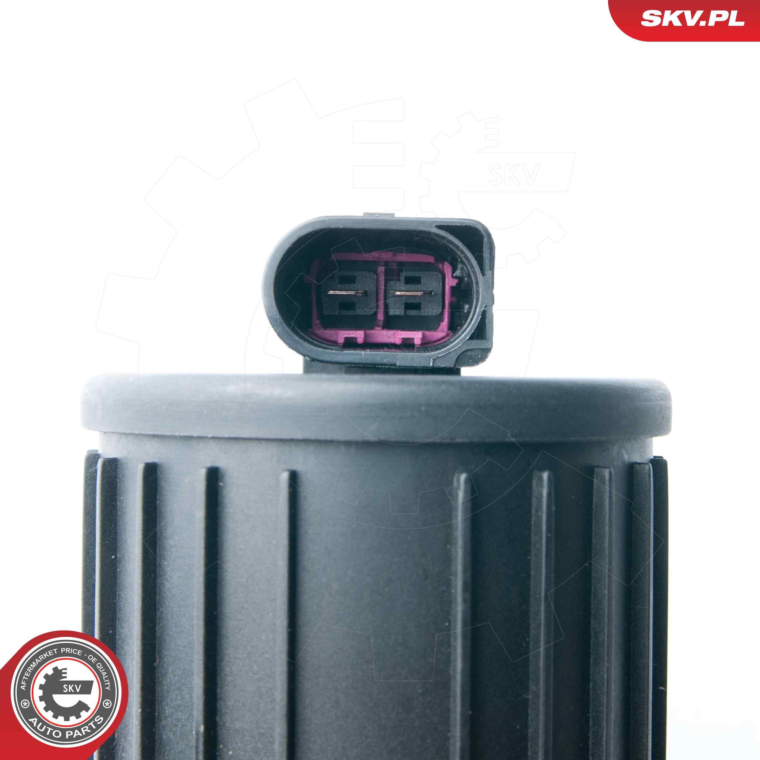 Sekundärluftpumpe