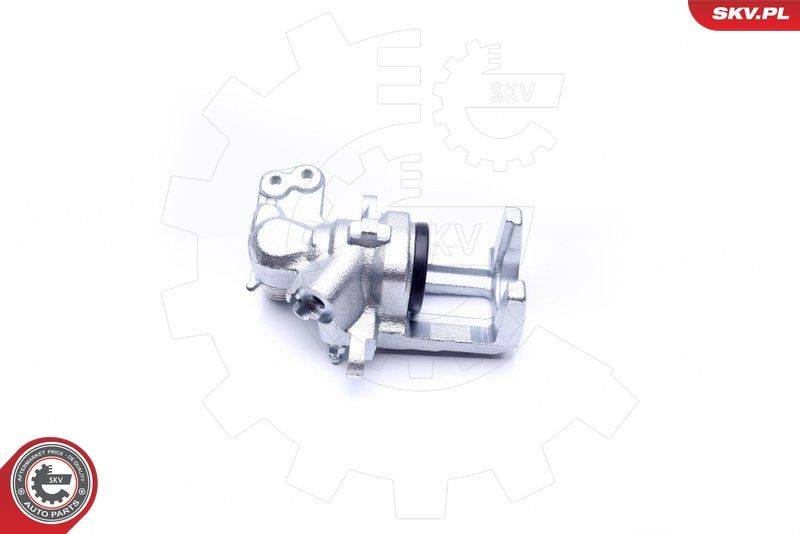 Brake Caliper 42SKV214