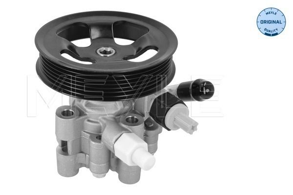 Hydraulikpumpe, Lenkung
