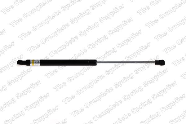 Gasfeder, Koffer-/Laderaum