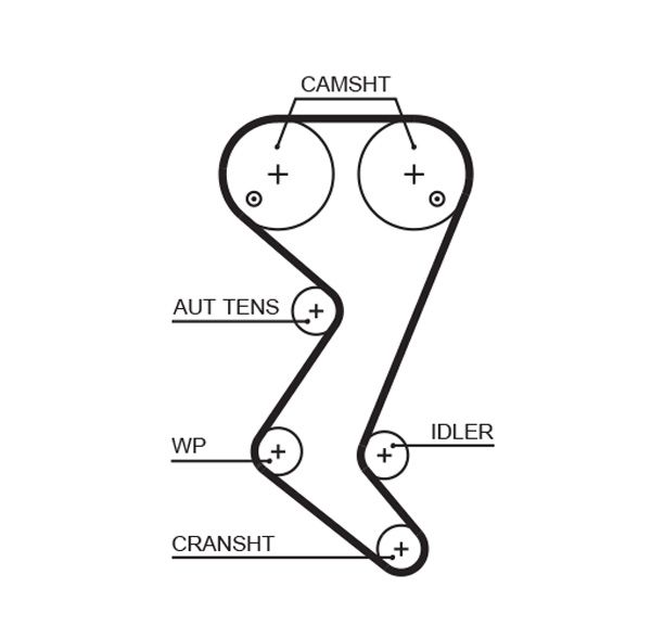 Timing Belt 5582XS