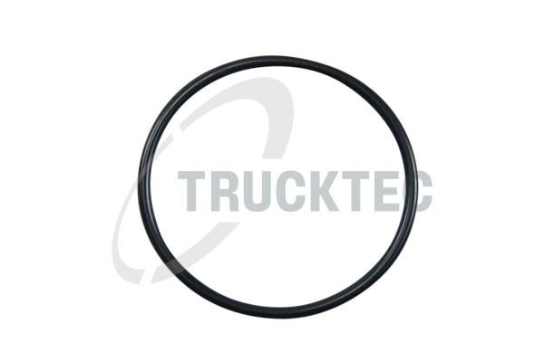 Dichtung, Thermostat