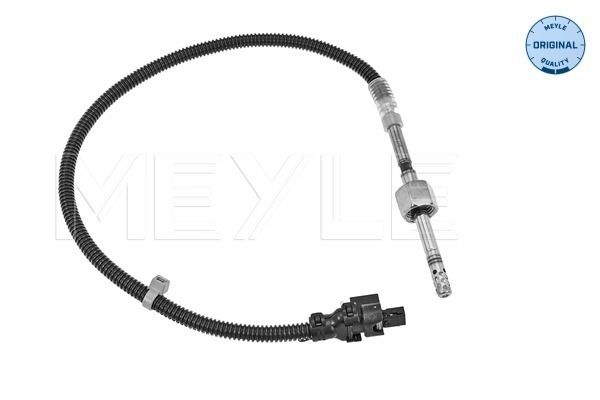 Sensor, Abgastemperatur
