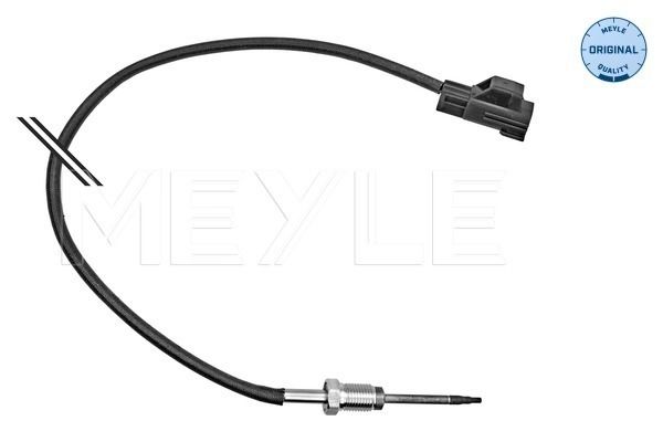 Sensor, Abgastemperatur