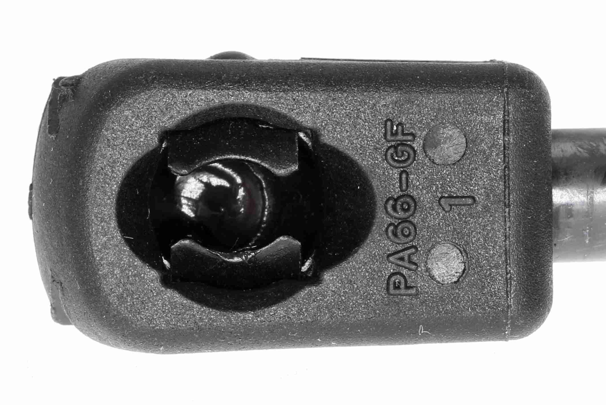 Gasfeder, Koffer-/Laderaum Gasfeder, Koffer-/Laderaum