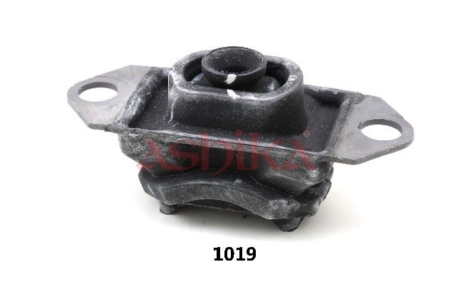 Ashika GOM-1019 Lagerung, Motor