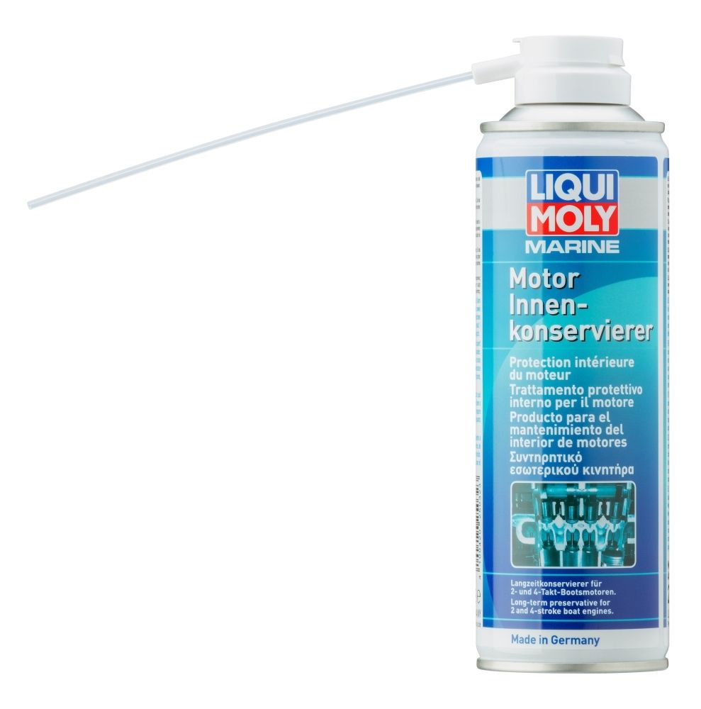Motorreiniger