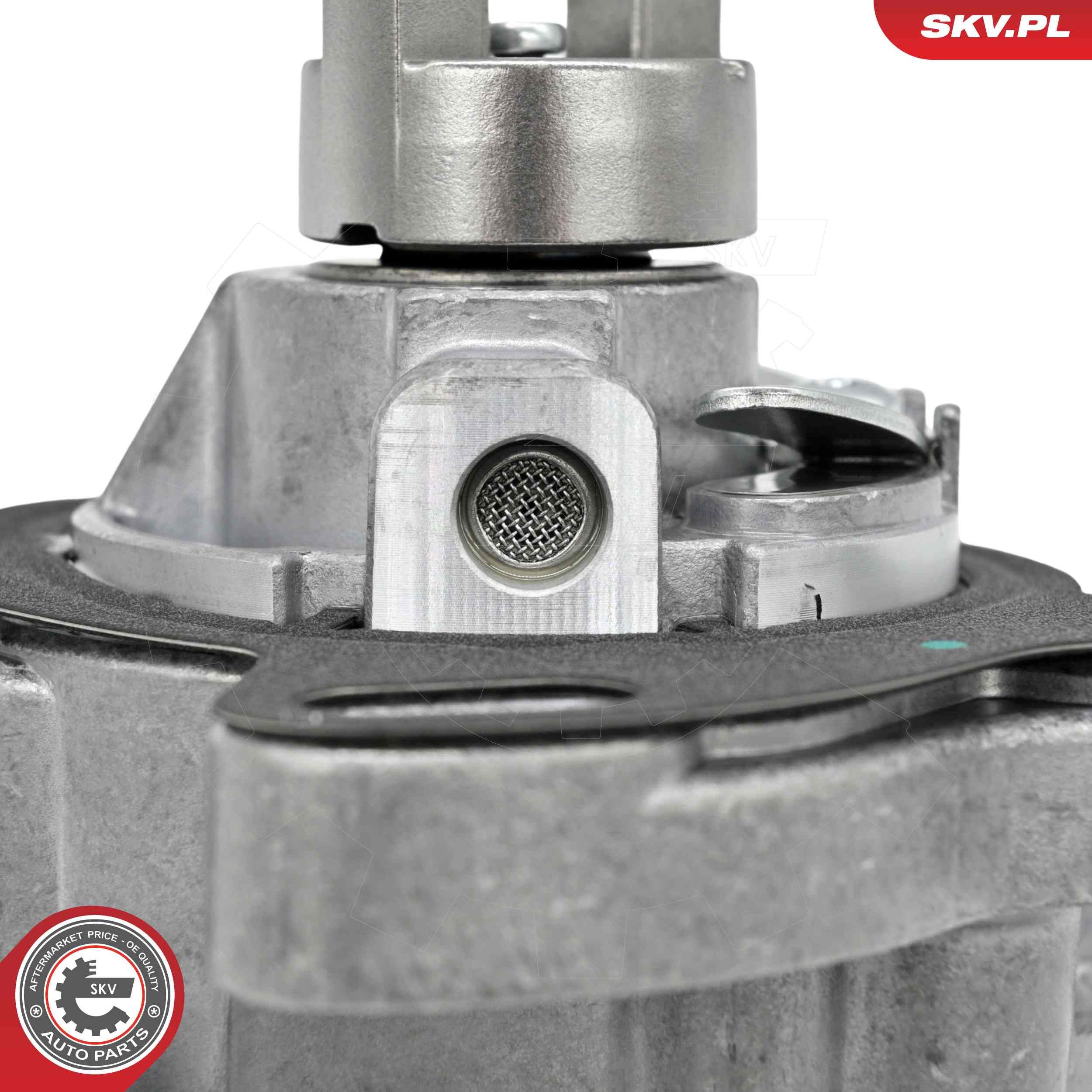 Unterdruckpumpe, Bremsanlage