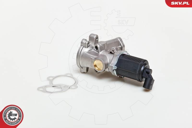 EGR Valve 14SKV039