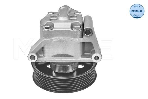 Hydraulikpumpe, Lenkung