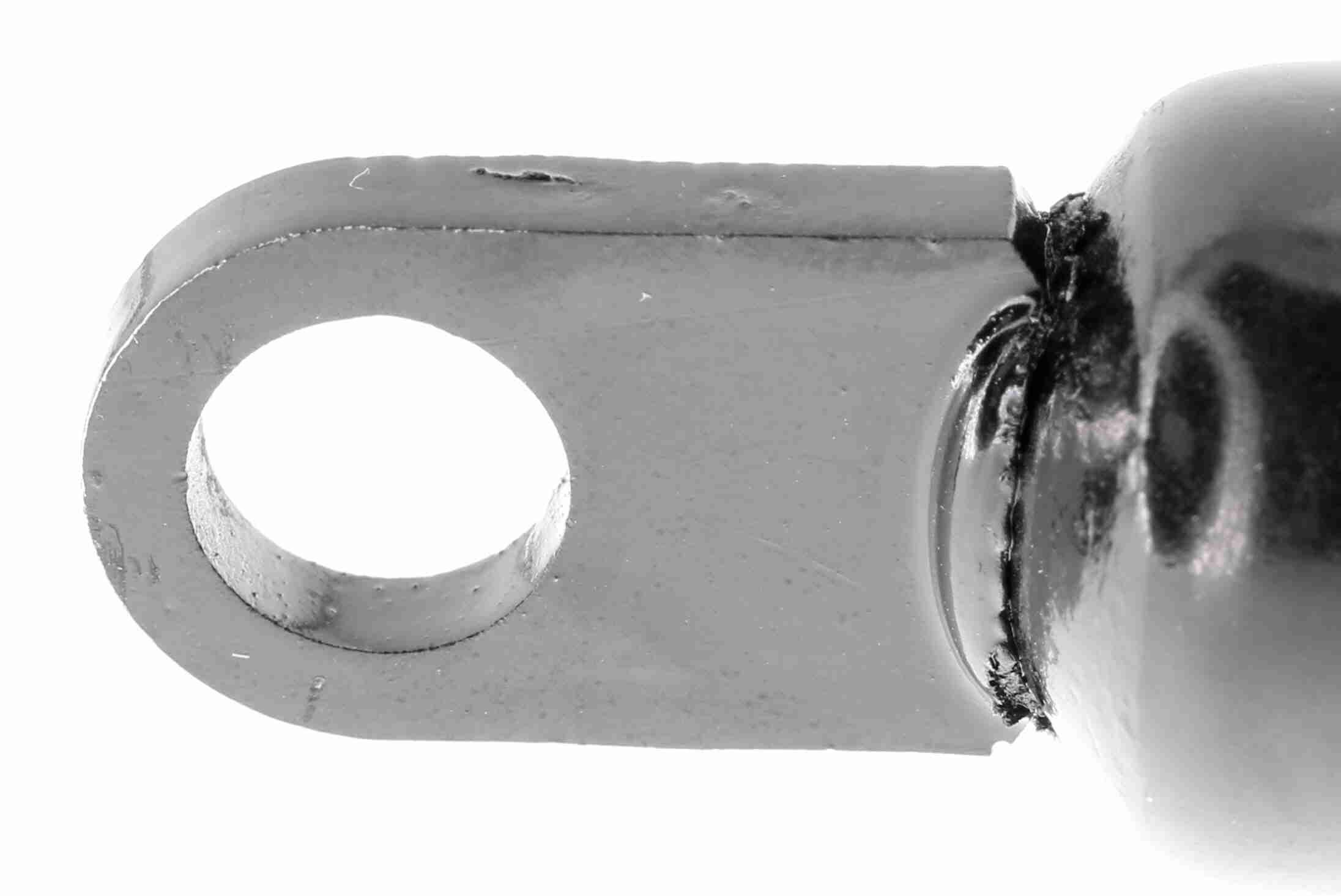 Gasfeder, Koffer-/Laderaum