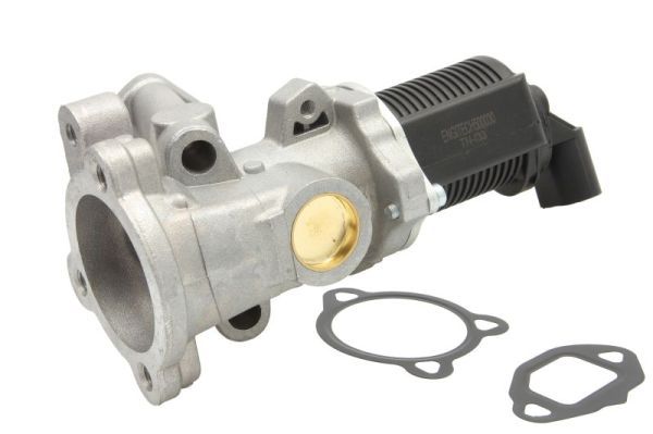 EGR Valve ENT500030