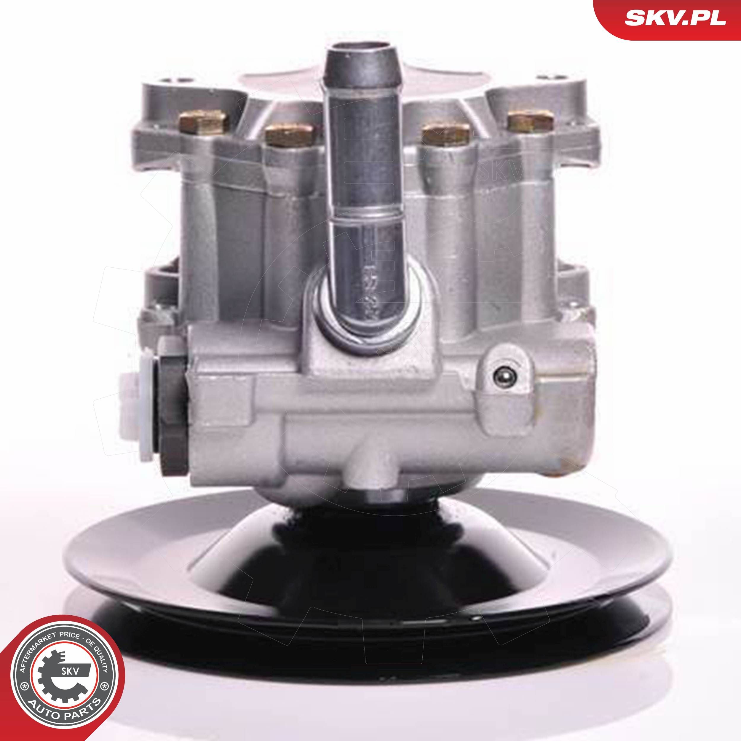 ESEN SKV 10SKV169 - Hydraulikpumpe, Lenkung