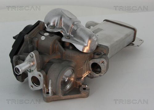 8813 29304 TRISCAN AGR-szelep