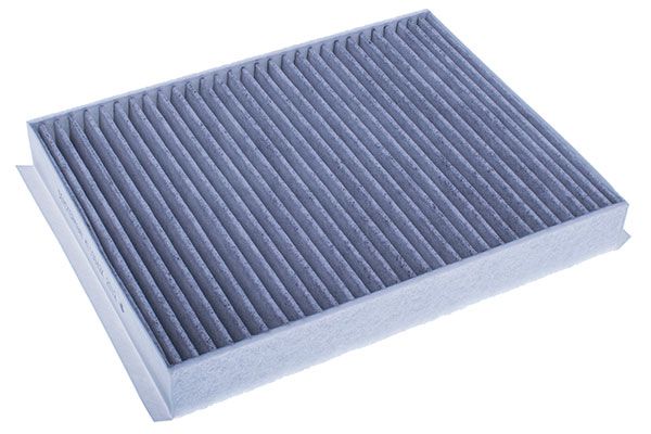 Filter, cabin air M110942K