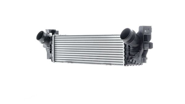 600513275.JPG