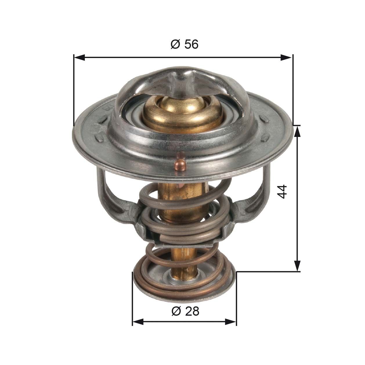 Thermostat, coolant TH48982G1