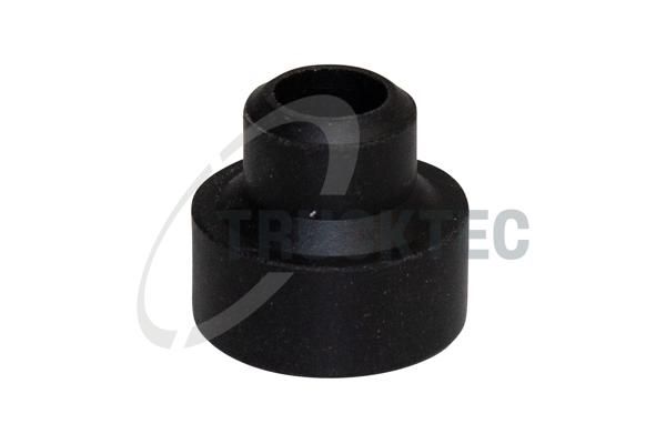 Halter, Einspritzventil