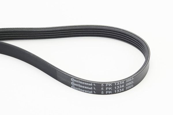 BELTPIC_5PK1334.JPG