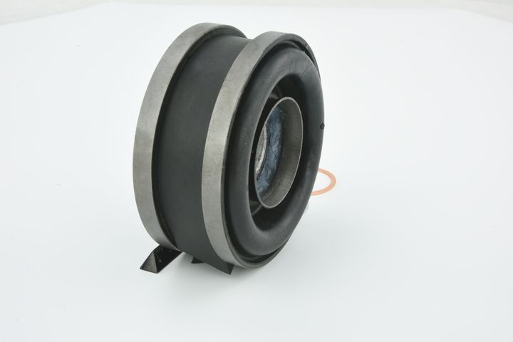 guolis, kardaninio veleno centrinis guolis