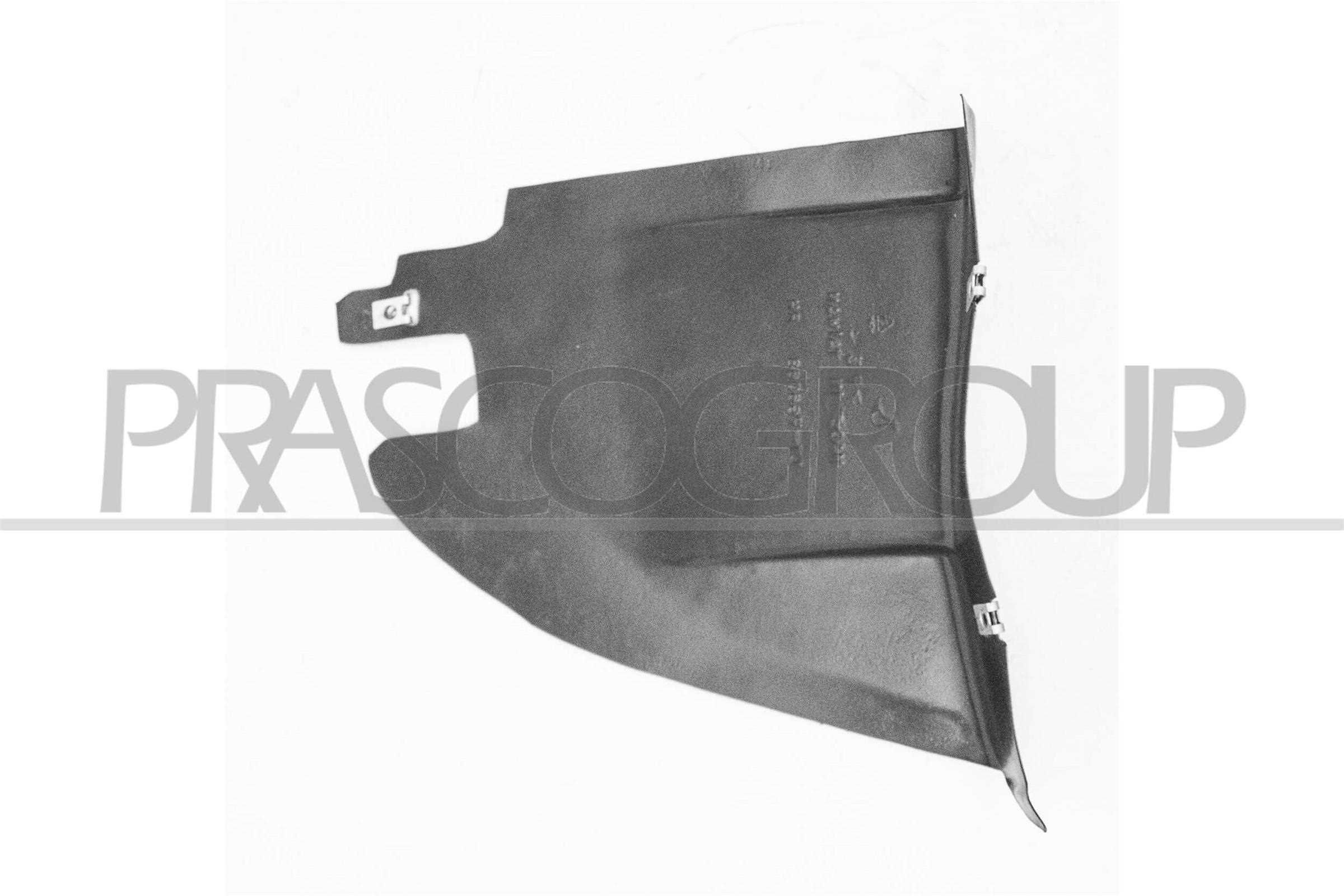 Verkleidung, Radhaus