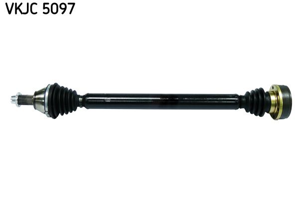 VKJC 5097.JPG