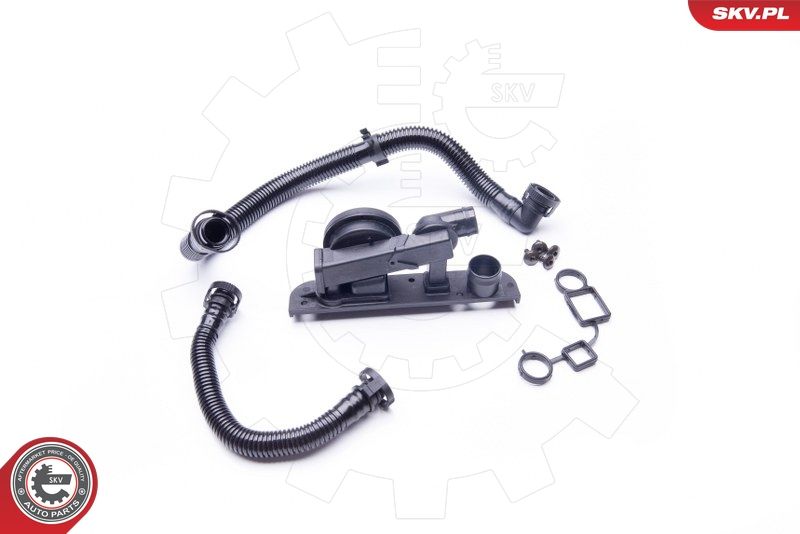 Repair Kit, crankcase ventilation 31SKV005