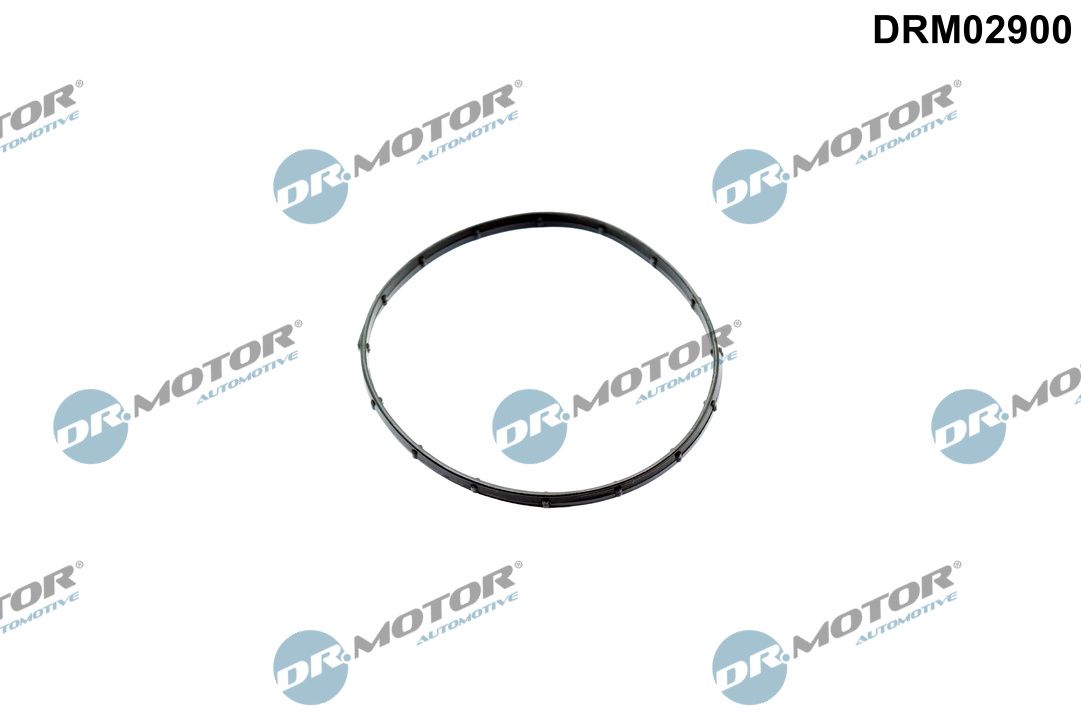Dr.Motor Automotive DRM02900 - Dichtung, Unterdruckpumpe