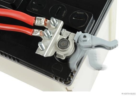 Batteriepolklemme