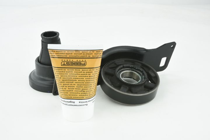 guolis, kardaninio veleno centrinis guolis