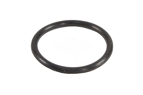 Dichtring, K&uuml;hlmittelrohrleitung