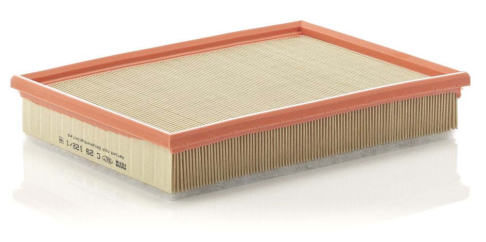 Air Filter C 29 122/1