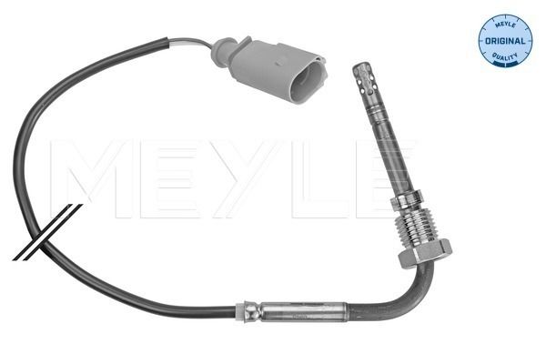 Sensor, Abgastemperatur