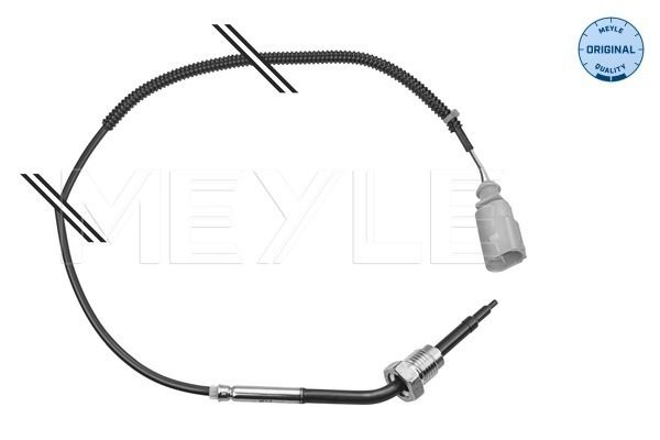 Sensor, Abgastemperatur
