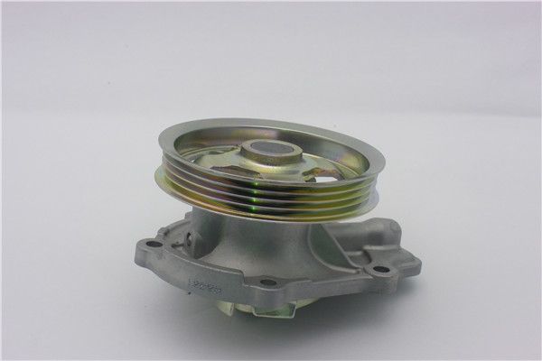 Bomba de agua, refrigeración del motor