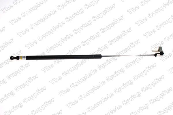 Gasfeder, Koffer-/Laderaum