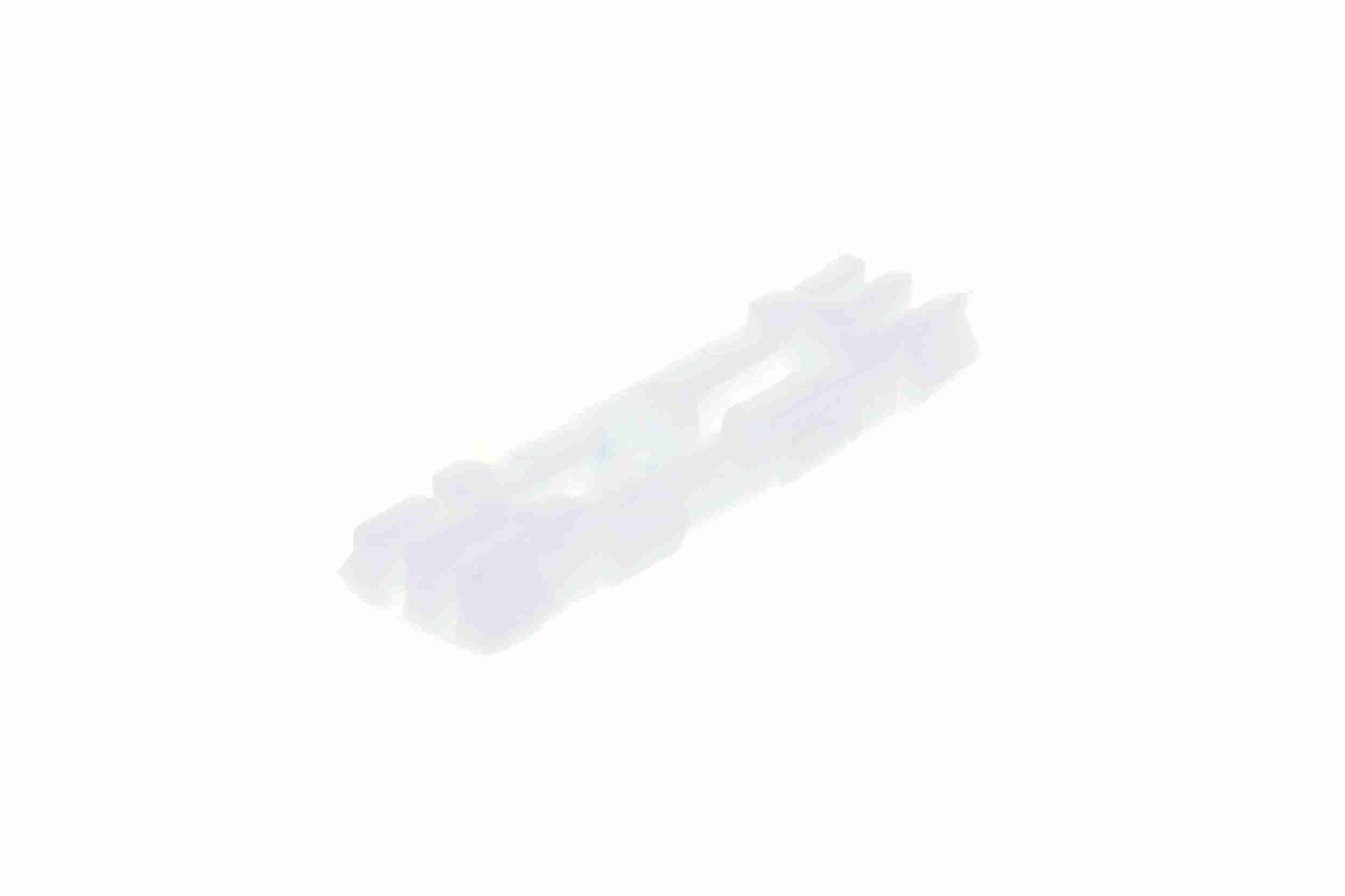 Clip, Zier-/Schutzleiste