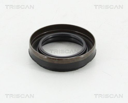Wellendichtring, Differential Wellendichtring, Differential