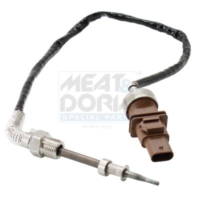 Sensor, Abgastemperatur