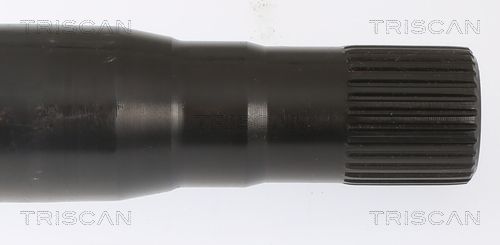 Radlagersatz Radlagersatz