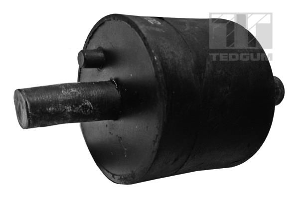 TEDGUM 00089175 - Lagerung, Motor