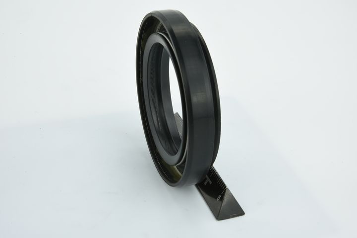 sandariklis, kardaninis velenas