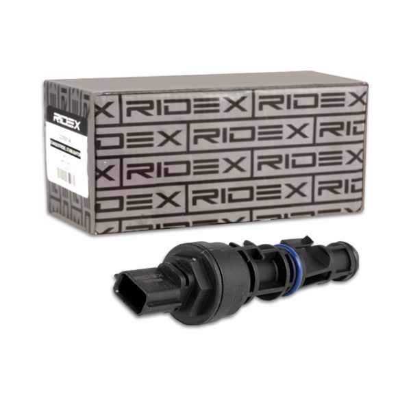 8226746_969.JPG