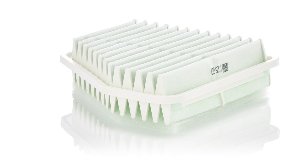 Air Filter C 26 003