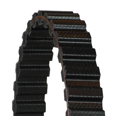 Zahnriemen Zahnriemen