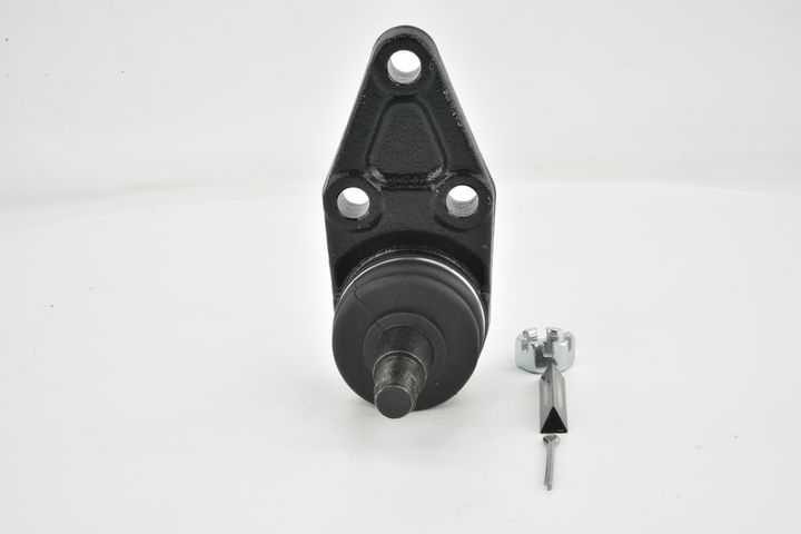 Šarnyras / girgždukas