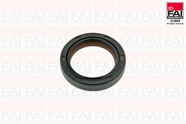 Wellendichtring, Nockenwelle