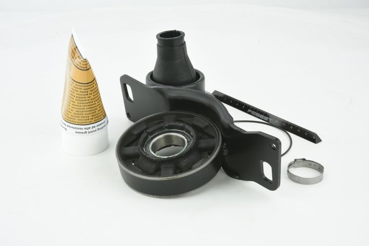 guolis, kardaninio veleno centrinis guolis