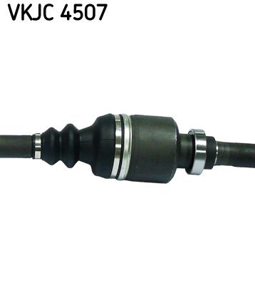 VKJC 4507_3.JPG